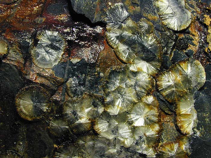 Cornwall,Devon & West country minerals